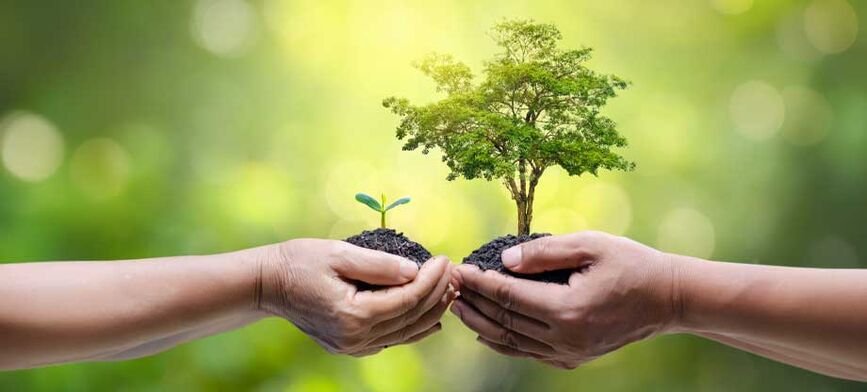 Environment, Climate & Sustainability